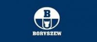 Польский сайдинг Boryszew