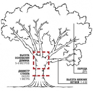 Схема расположения домика на дереве