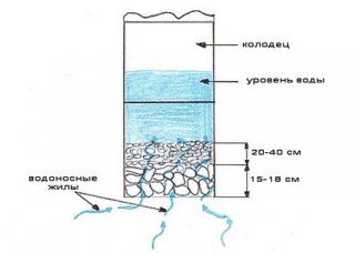 Схема устройства донного фильтра для колодца